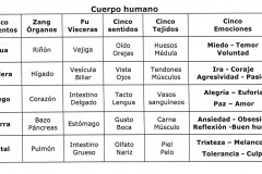 00-Cuerpo_humano_elementos