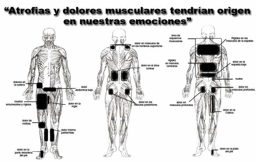 Espalda y emociones