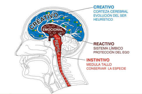 Cerebro reptiliano